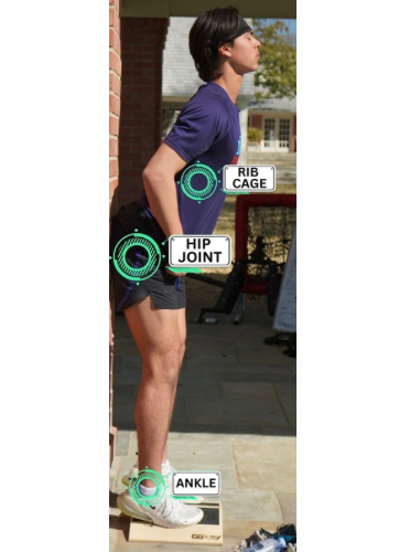 Back chain dominance terminology