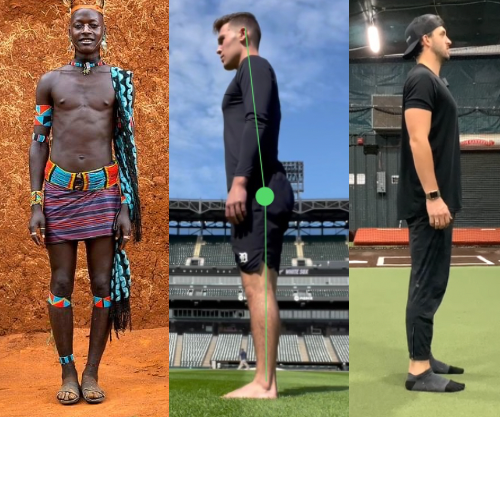 Shoulders terminology