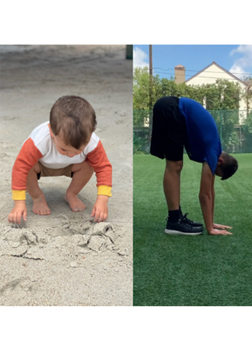 Suppleness terminology